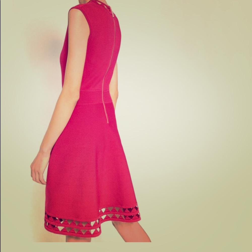 Ted Baker Red Kathryn Fit and Flare Dress